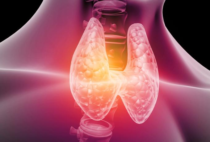 ENDOCRINOLOGIA - Centro Biolab Cutrofiano